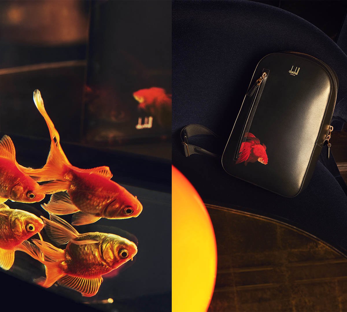 Dunhill - Collection Archive Goldfish