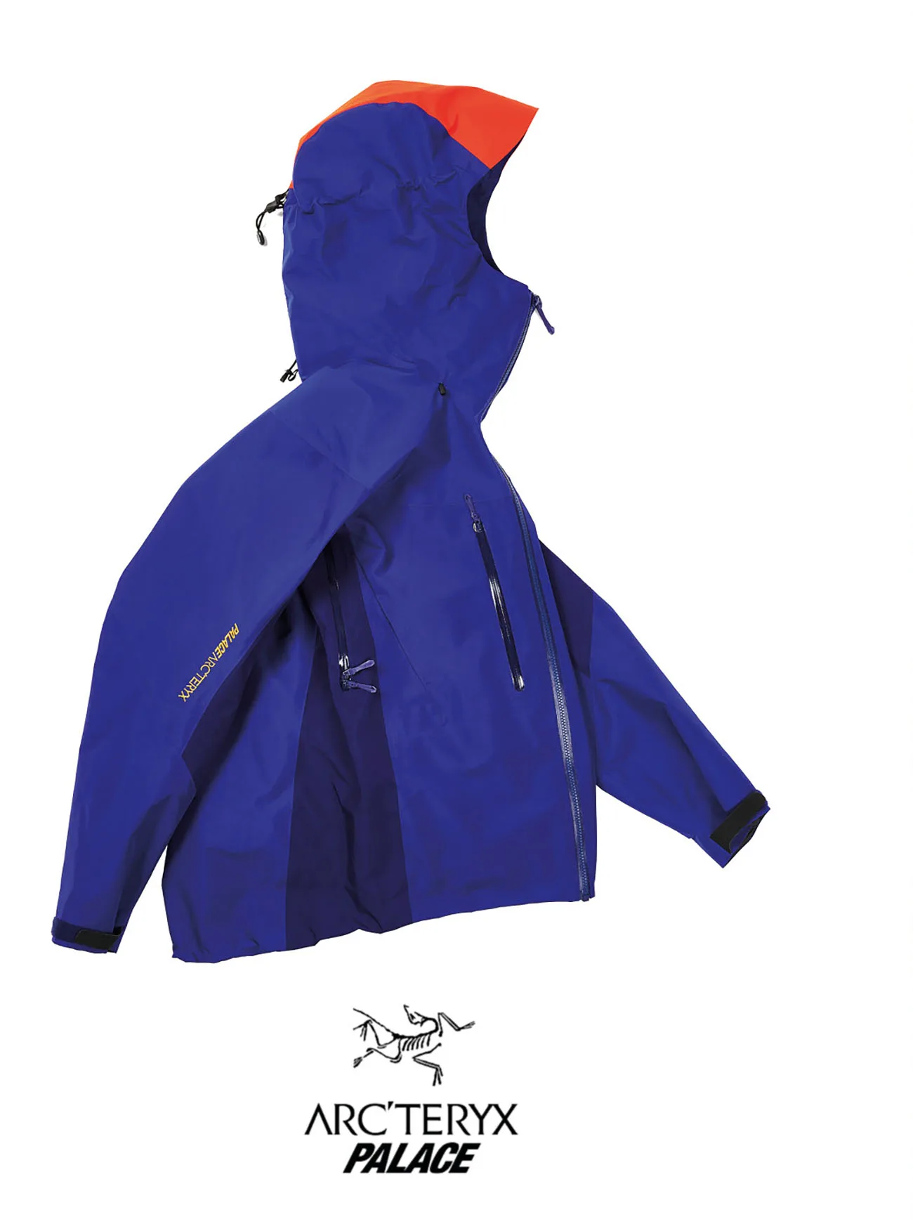 Palace Skateboards x Arc'teryx x Gore-Tex