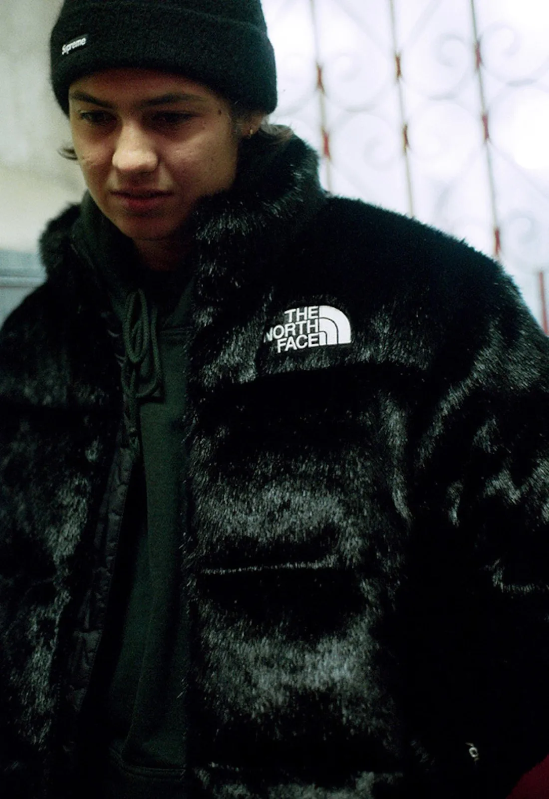 Supreme x The North Face AH20 Faux Fur Collection