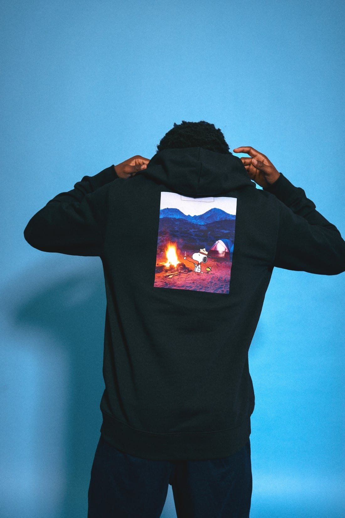 Element x Peanuts 10 Element x Snoopy x Peanuts