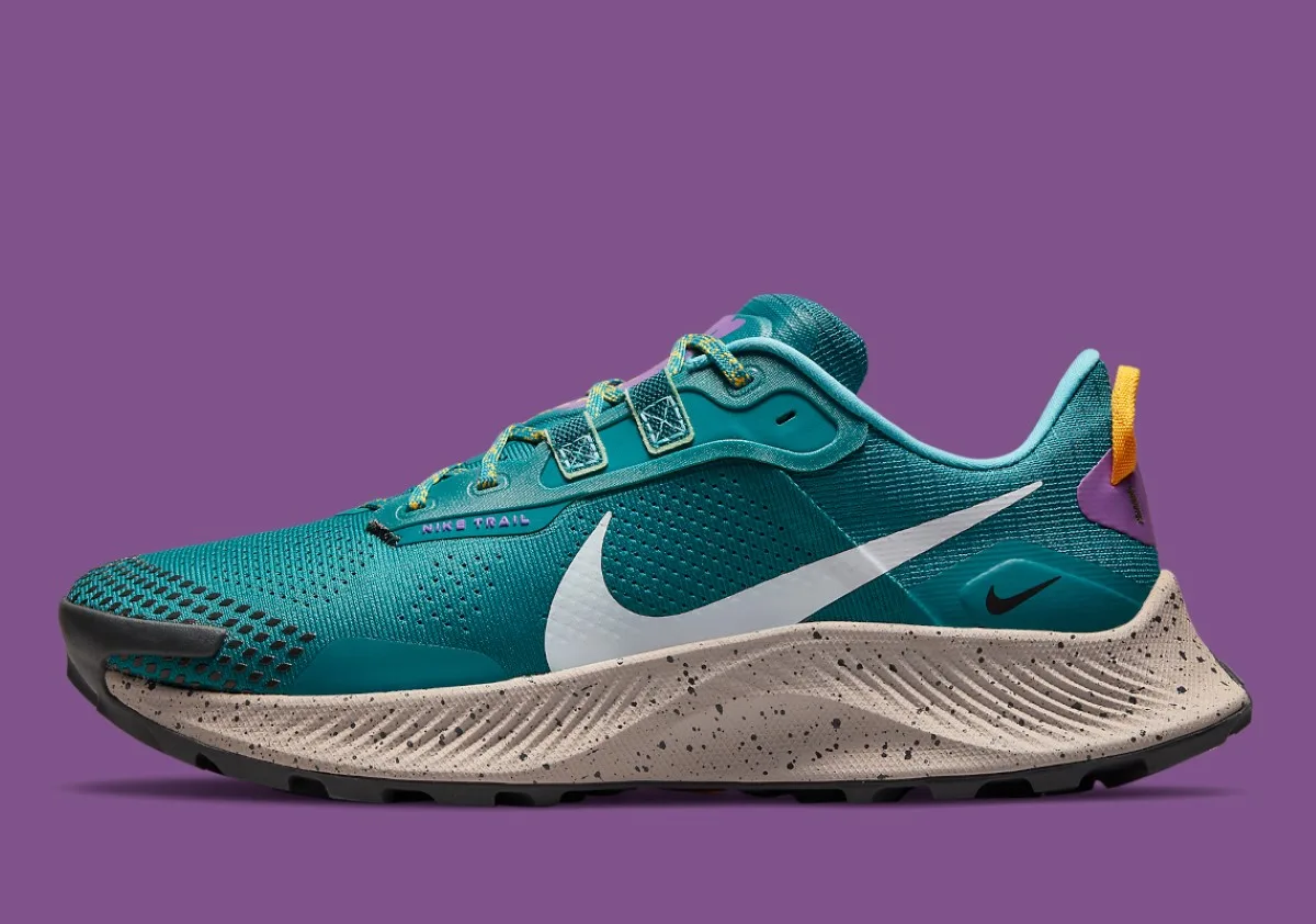 Nike Pegasus Trail 3