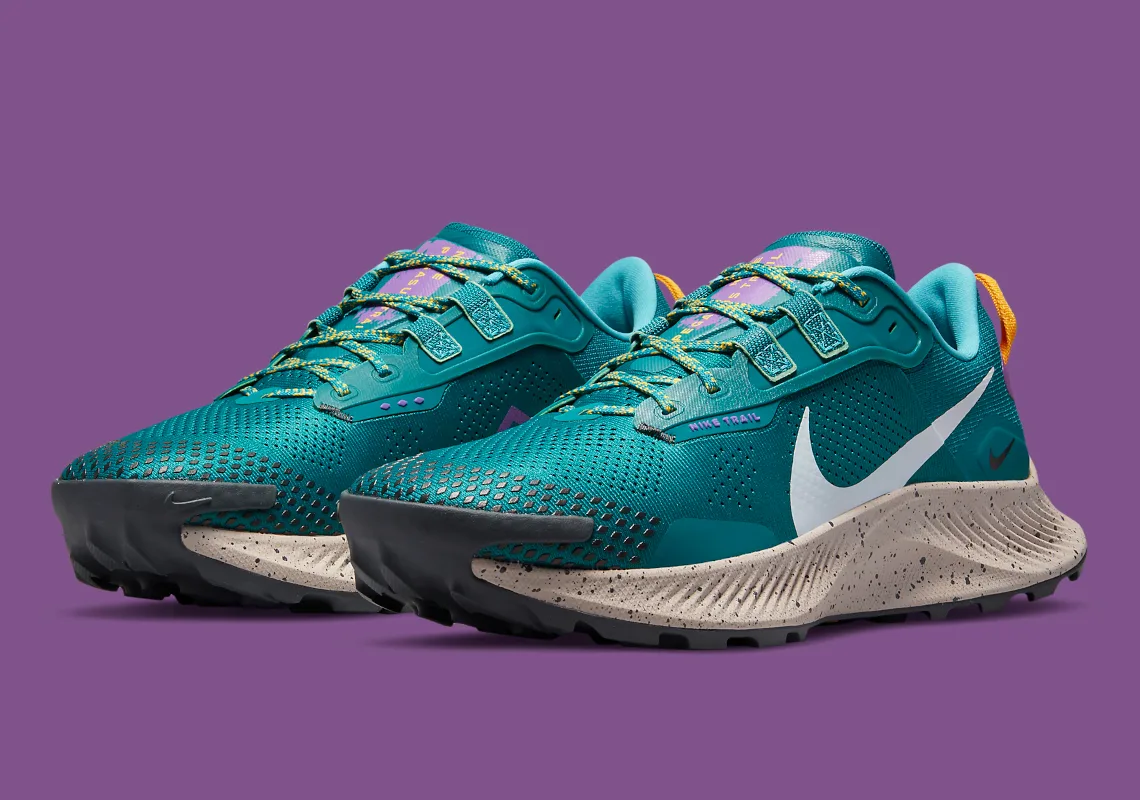 Nike Pegasus Trail 3