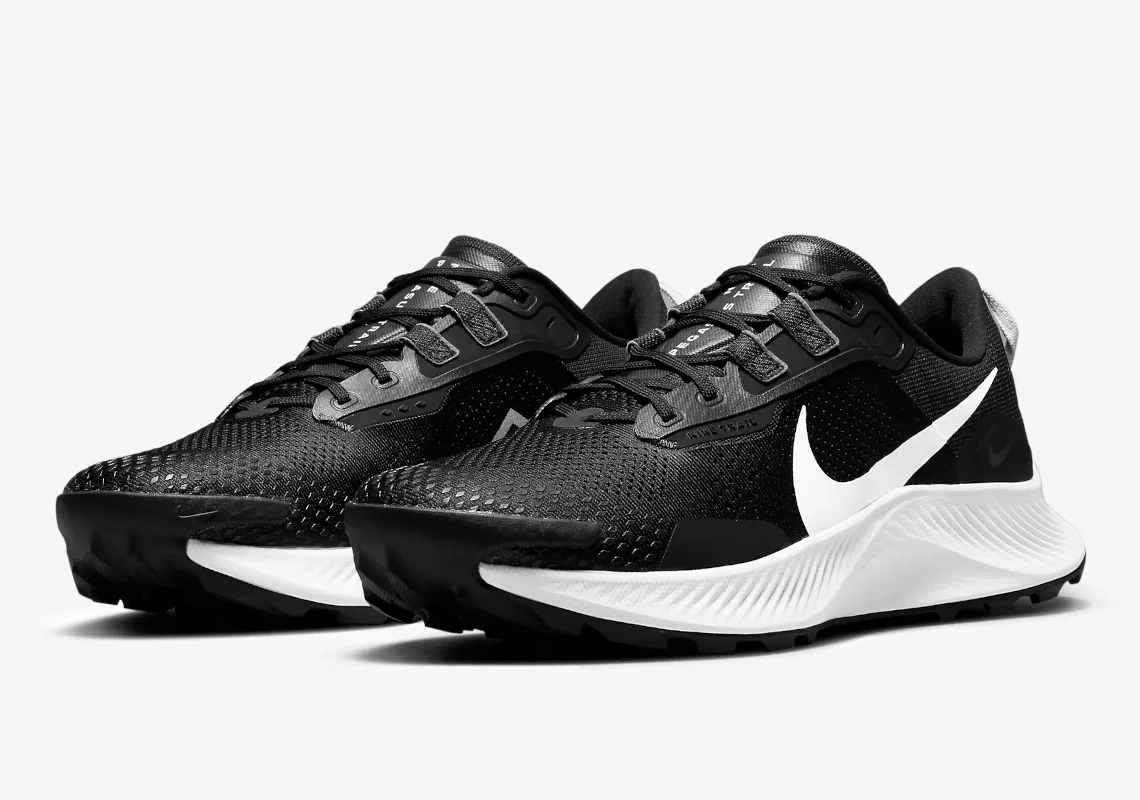 Nike Pegasus Trail 3