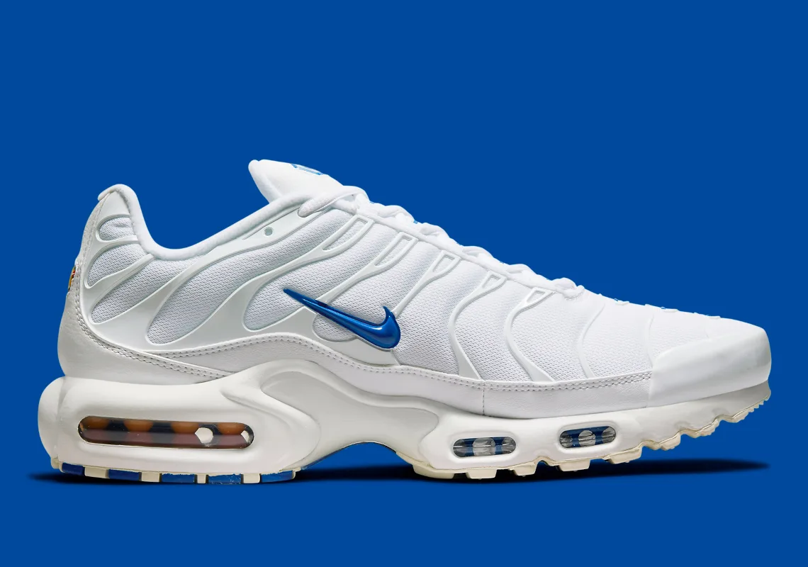 Nike Air Max Plus "Multi Swoosh"