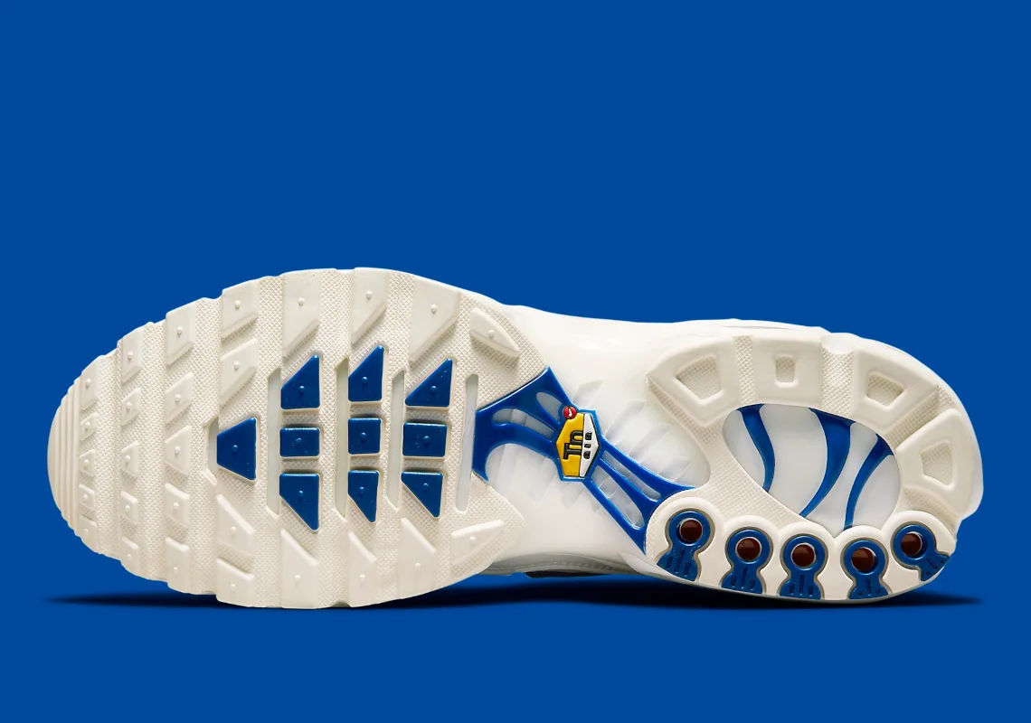Nike Air Max Plus "Multi Swoosh"