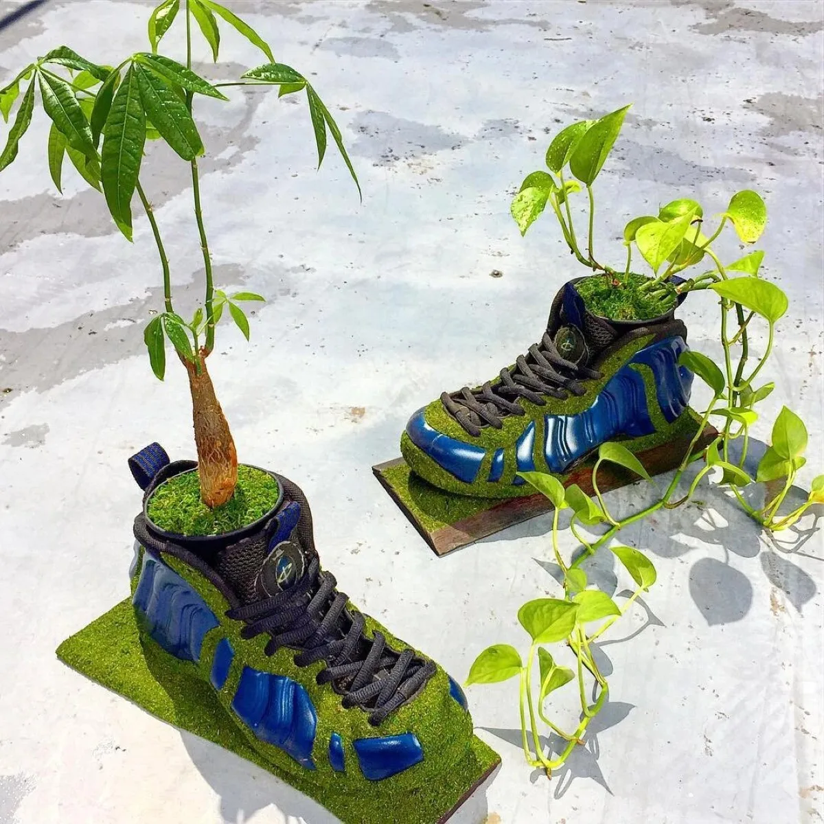 Shoetree