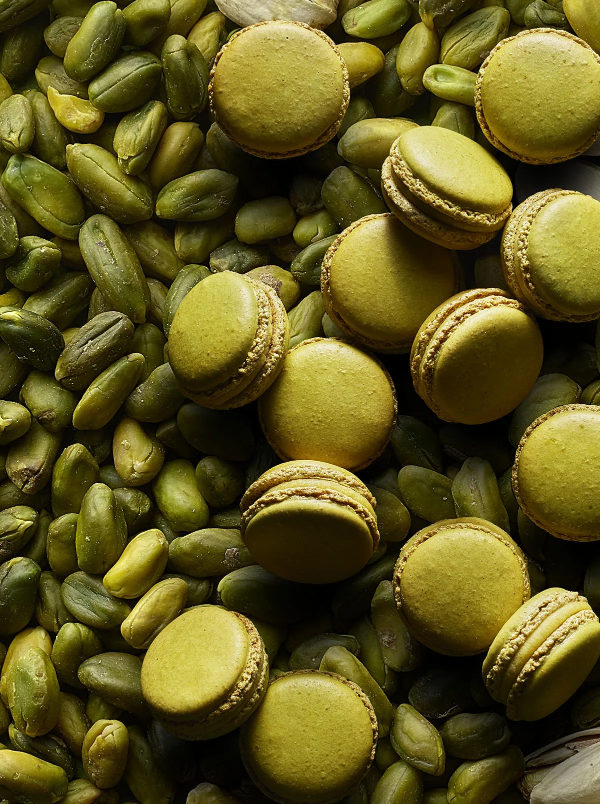 Pierre Hermé x Princesse Margot - Jour du Macaron 2022