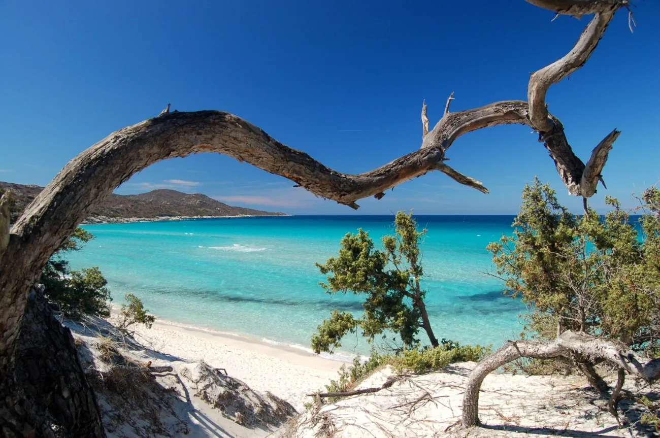 10 criques et plages secrètes - Plage de Saleccia