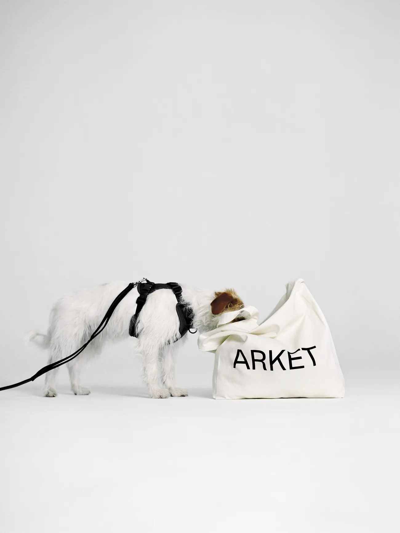 ARKET for Dogs