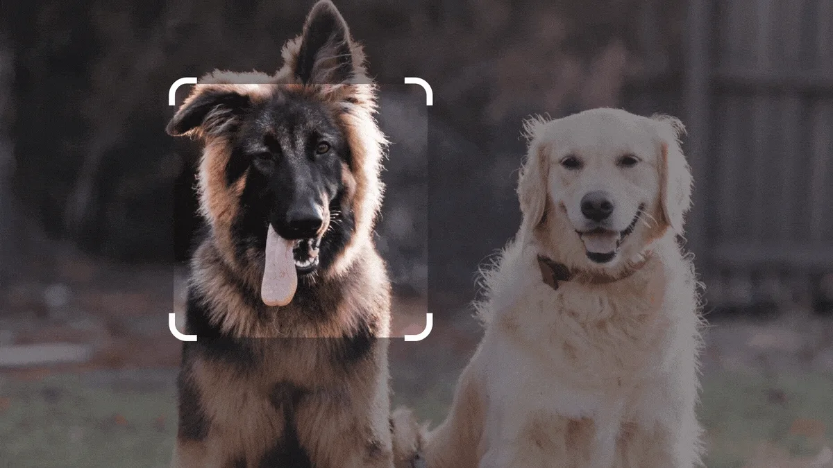 Google IO 2023 - Google Bard AI - Image Prompting