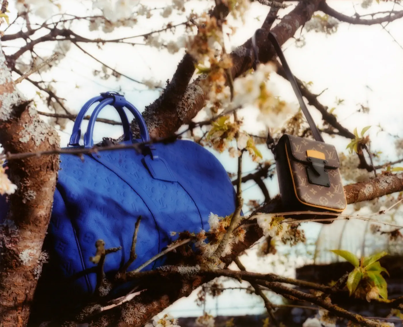Louis Vuitton Collection Taurillon Monogram Monogram Macassar 4 Louis Vuitton - Collection Taurillon Monogram & Monogram Macassar