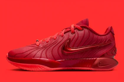 La Nike LeBron 21 “James Gang” arrive en mai