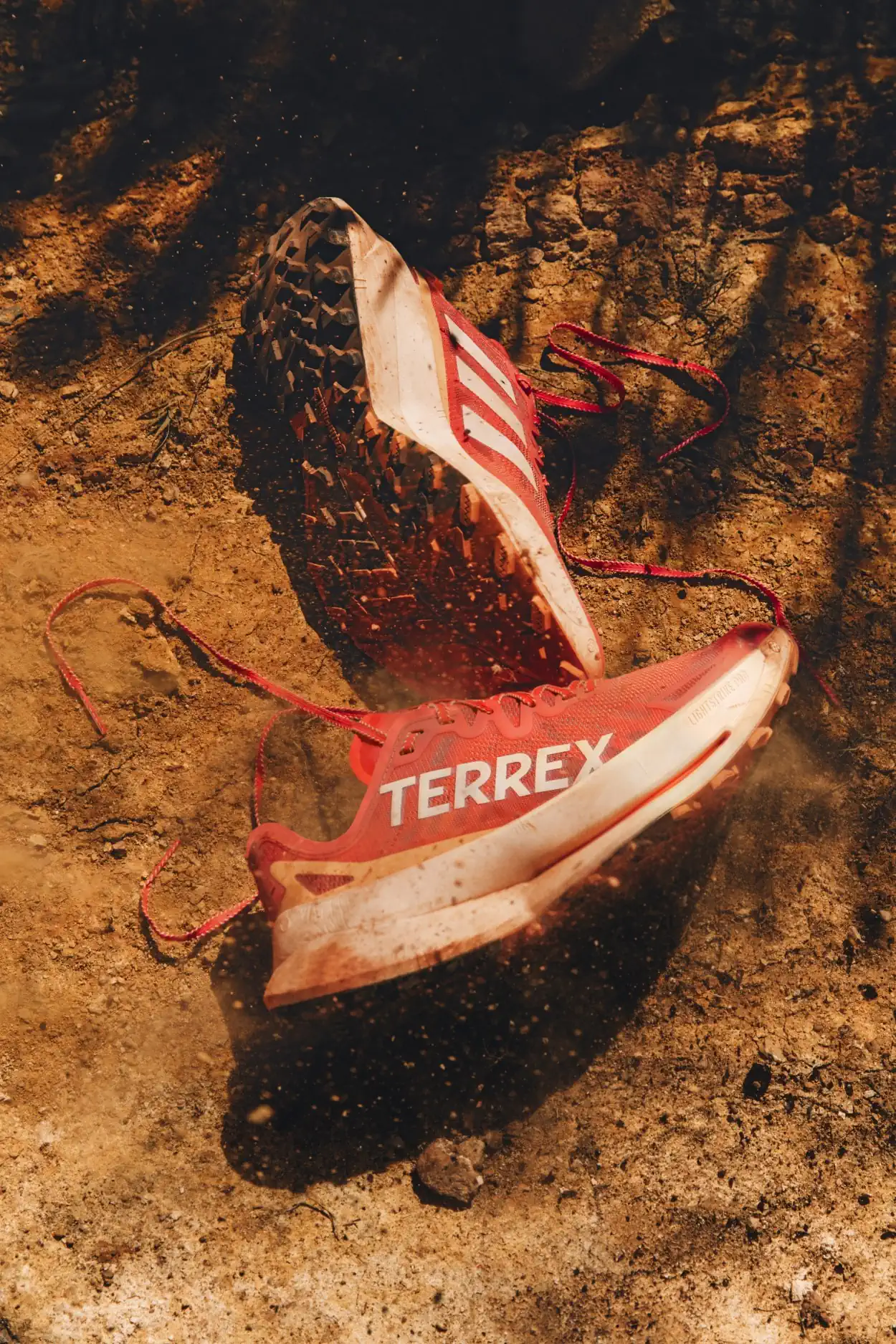 adidas TERREX adidas Agravic Speed 1 adidas TERREX Agravic Speed Ultra dévoilée avec le programme de mentorat
