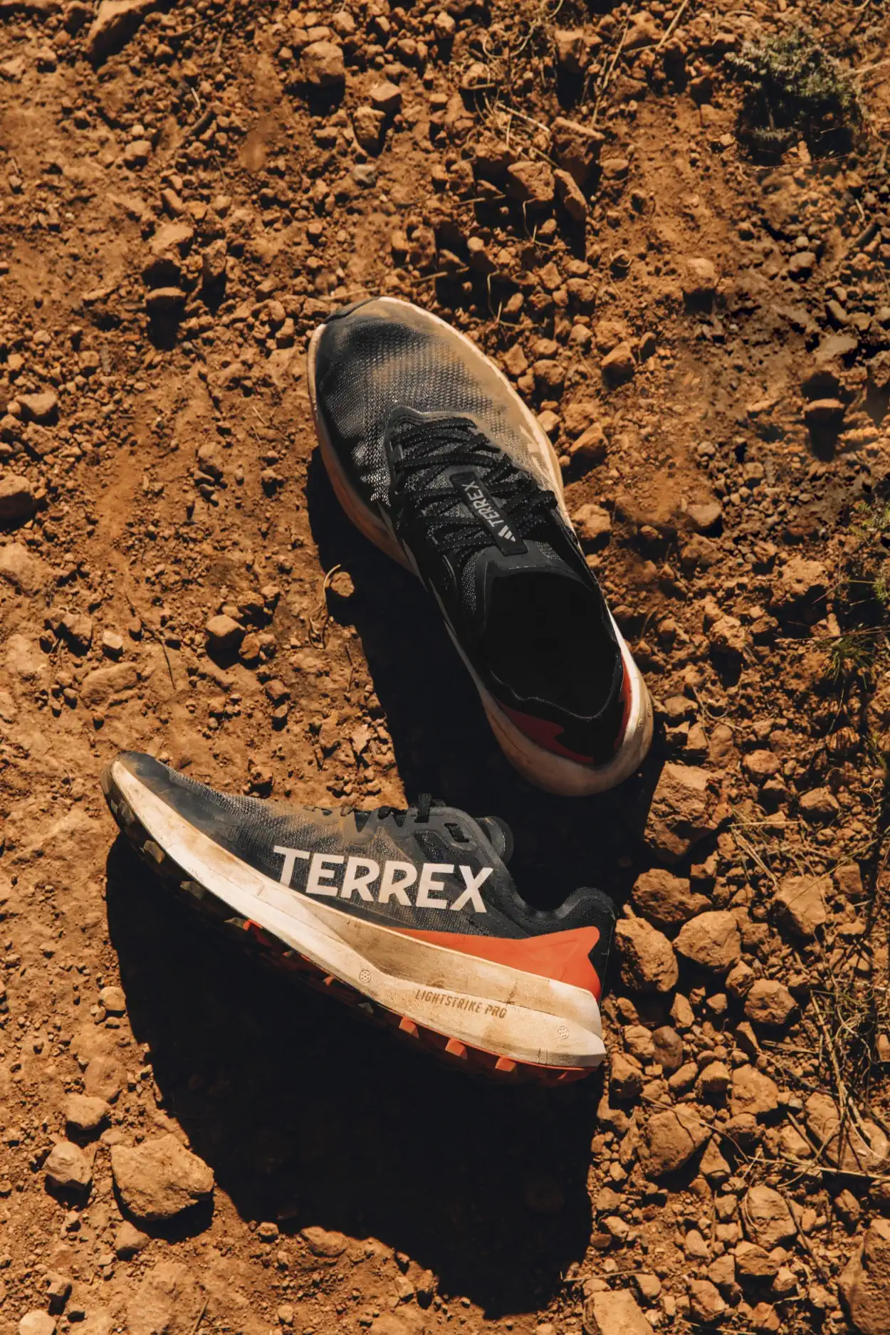 adidas TERREX adidas Agravic Speed 3 adidas TERREX Agravic Speed Ultra dévoilée avec le programme de mentorat