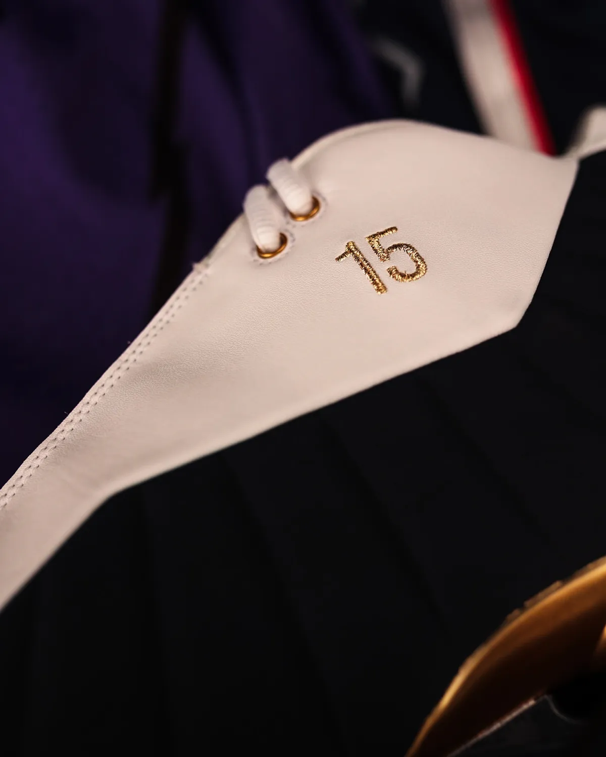 Vince Carter entre au Panthéon de la NBA avec des Nike Shox BB4 personnalisées