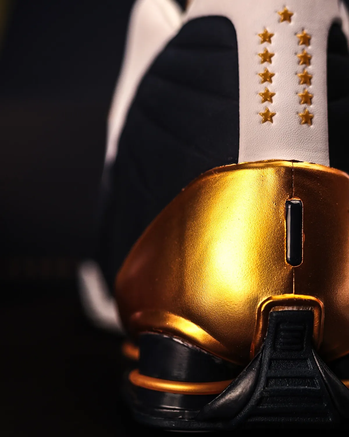 Vince Carter entre au Panthéon de la NBA avec des Nike Shox BB4 personnalisées