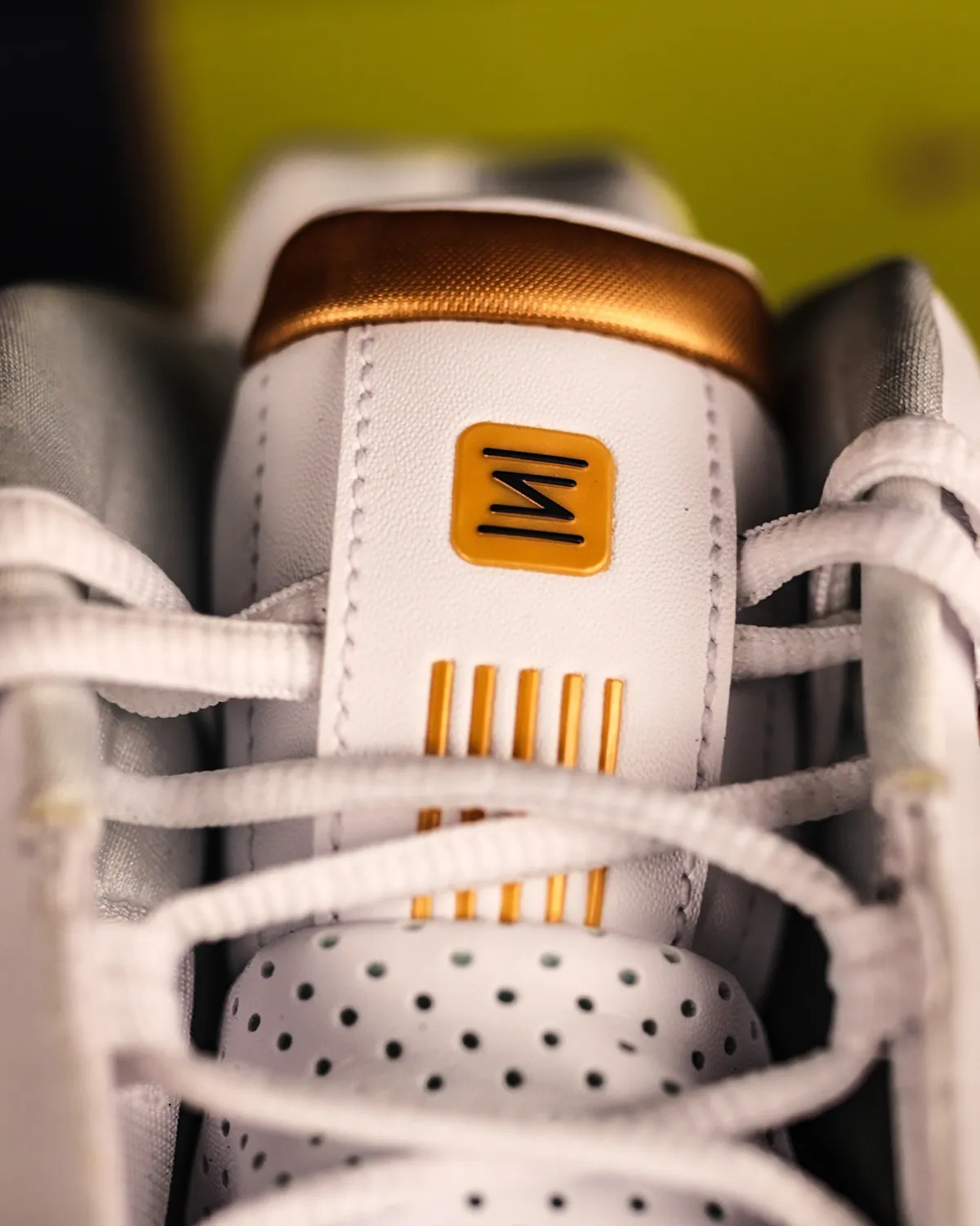 Vince Carter entre au Panthéon de la NBA avec des Nike Shox BB4 personnalisées