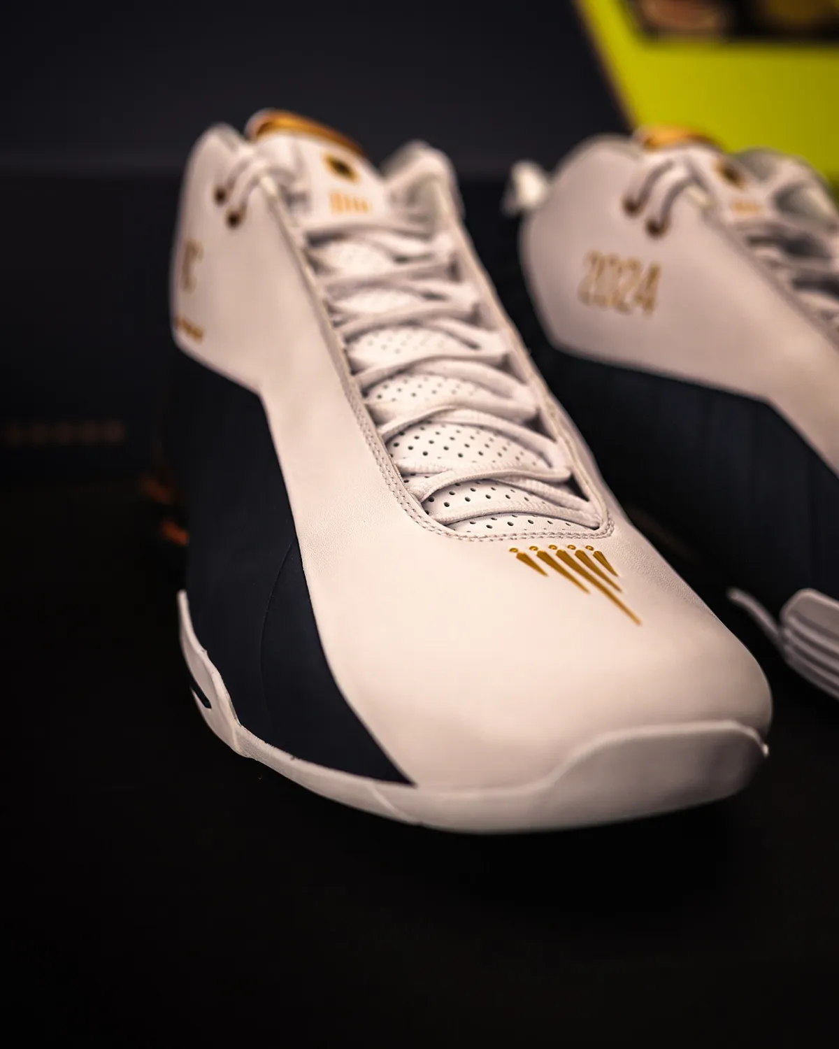 Vince Carter entre au Panthéon de la NBA avec des Nike Shox BB4 personnalisées