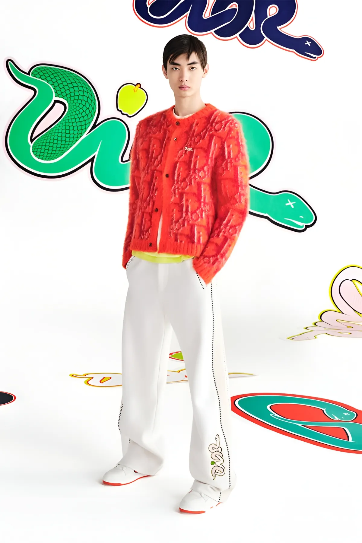 DIOR retrouve KAWS pour créer une capsule pour hommes avec des motifs de serpents