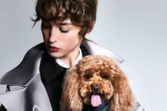 Giorgio Armani s'est associé à Poldo Dog Couture pour créer une ligne de mode de luxe pour animaux de compagnie