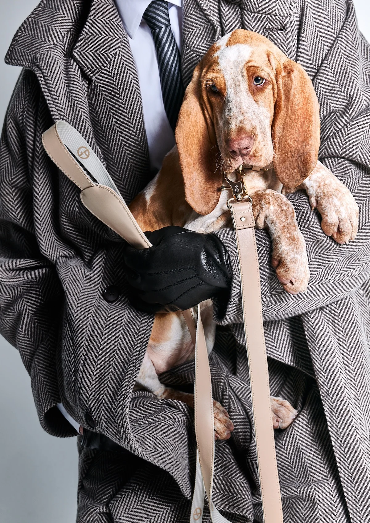 Giorgio Armani s'est associé à Poldo Dog Couture pour créer une ligne de mode de luxe pour animaux de compagnie