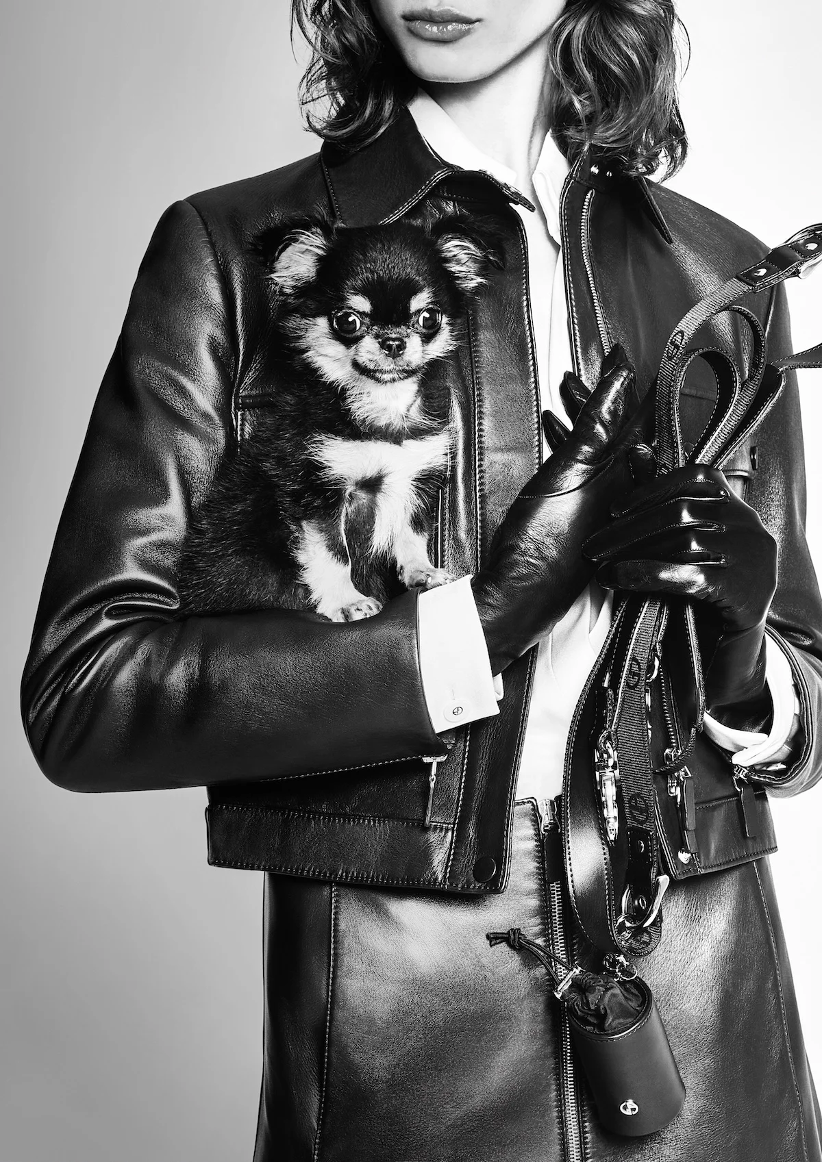 Giorgio Armani s'est associé à Poldo Dog Couture pour créer une ligne de mode de luxe pour animaux de compagnie
