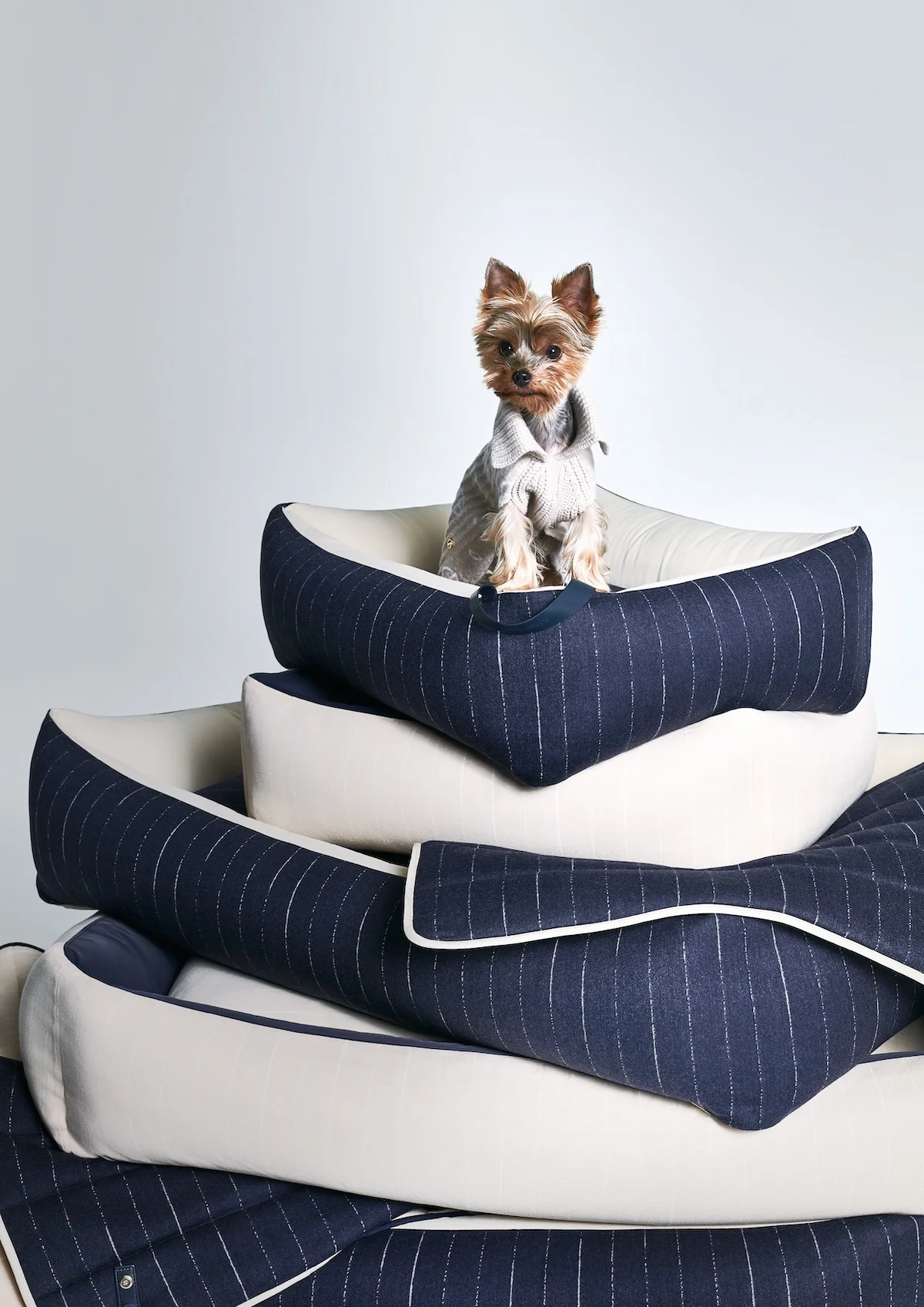 Giorgio Armani s'est associé à Poldo Dog Couture pour créer une ligne de mode de luxe pour animaux de compagnie