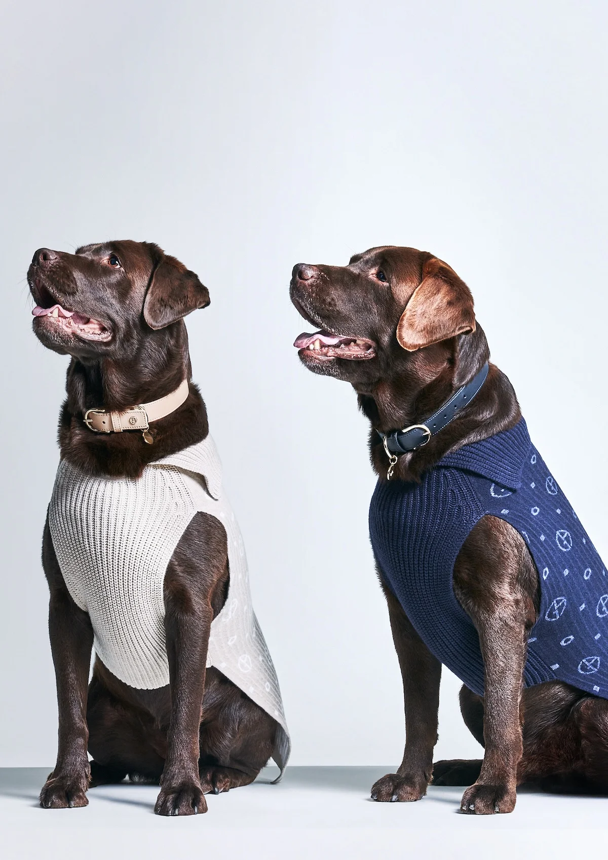 Giorgio Armani s'est associé à Poldo Dog Couture pour créer une ligne de mode de luxe pour animaux de compagnie