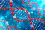 Des scientifiques demandent l'interdiction de la recherche sur les « bactéries miroir » alors que la Terre est confrontée à une menace biologique grave