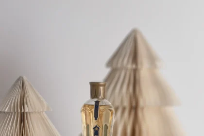 ST-GERMAIN et Yann Couvreur de retour avec une bûche de Noël à la liqueur de fleur de sureau