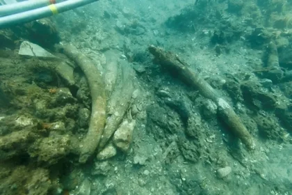 Découverte d'une épave de Vasco de Gama vieille de 500 ans près de la côte kényane