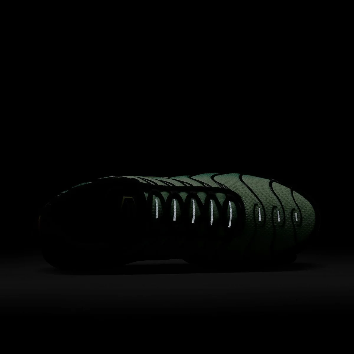 La Nike Air Max Plus « Vapor Green » fera son apparition au printemps 2025