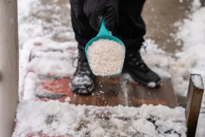 Pourquoi le sel fait-il fondre la glace et que signifie-t-il pour notre planète ?