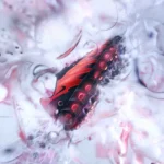 Nike Air Max DN8 fait ses débuts avec dix coloris saisissants avant l'Air Max Day 2025