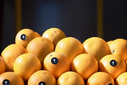 AMI célèbre le Marais avec des collaborations exclusives et une nouvelle boutique emblématique