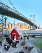 Peanuts fête ses 75 ans avec une collection streetwear irrésistible signée Kith !