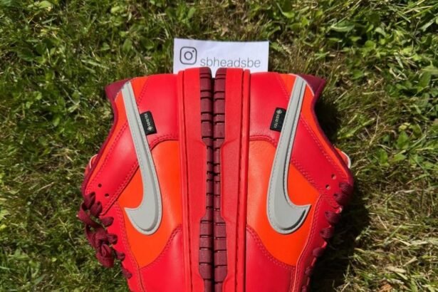 La Nike Dunk Low fait son grand retour avec GORE-TEX pour la première fois depuis 2008