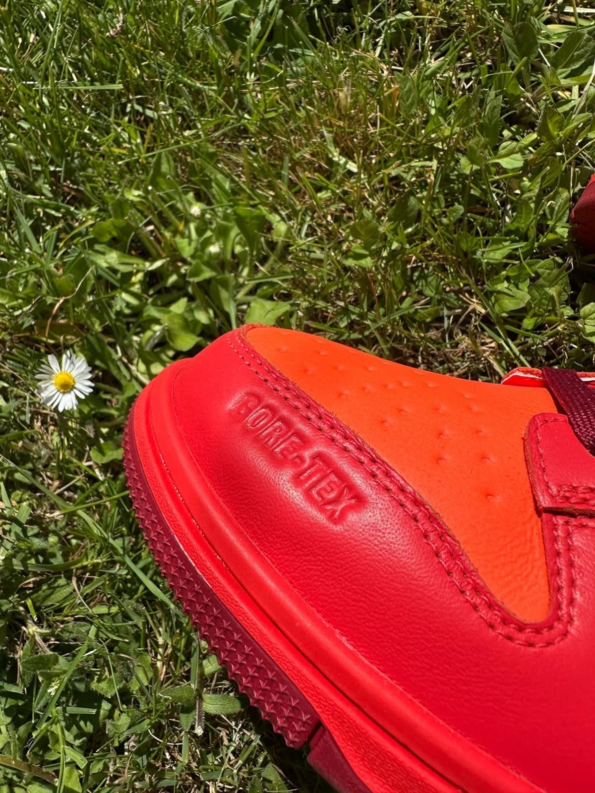 Nike Dunk Low GTX Light Crimson Total Crimson 3 La Nike Dunk Low fait son grand retour avec GORE-TEX pour la première fois depuis 2008