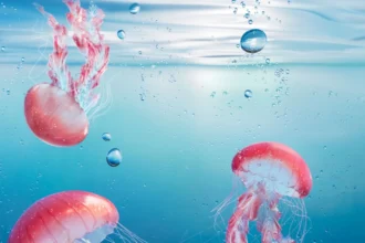 Swatch SCUBAQUA, une ode aux profondeurs océaniques