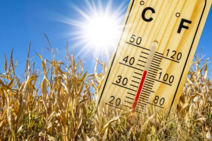 7 conseils pour combattre la chaleur extrême et rester au frais pendant les canicules