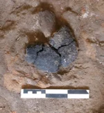 Un pain vieux de 5 000 ans découvert en Turquie révèle les secrets culinaires de nos ancêtres