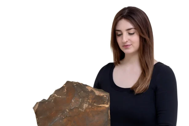 La plus grosse météorite venue de Mars a battu tous les records lors d'une vente aux enchères historique