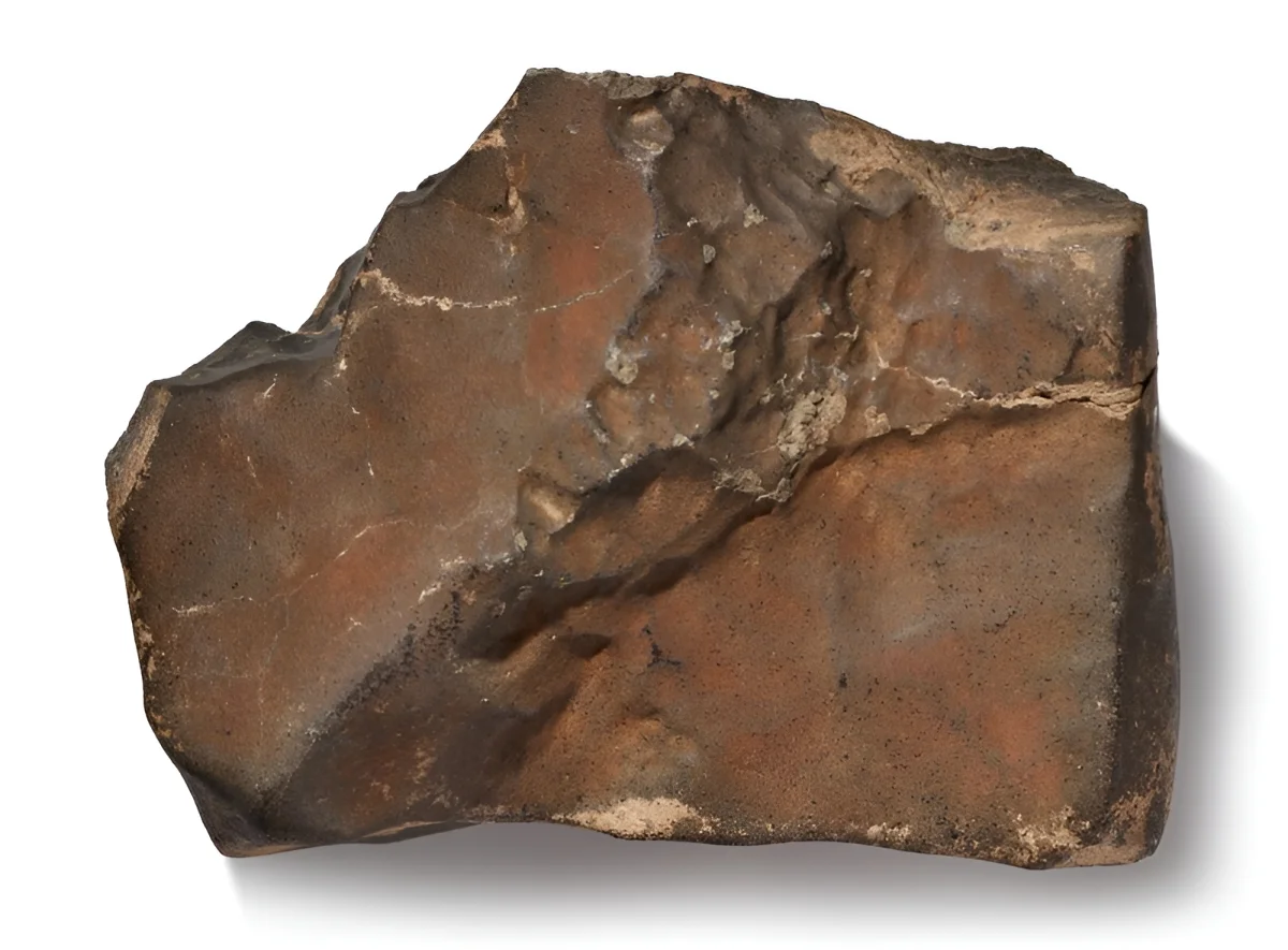 Meteorite venue de Mars NWA 16788 1 La plus grosse météorite venue de Mars a battu tous les records lors d'une vente aux enchères historique