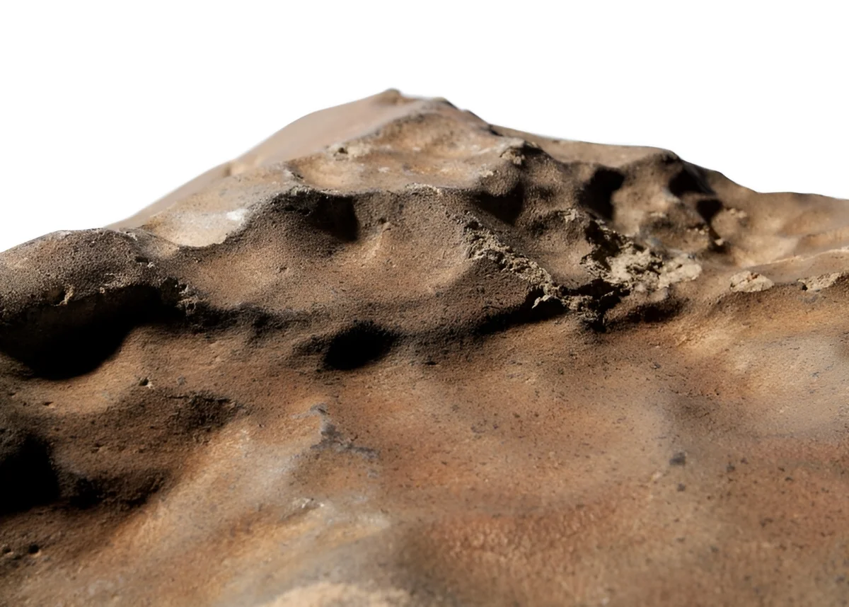 Meteorite venue de Mars NWA 16788 2 La plus grosse météorite venue de Mars a battu tous les records lors d'une vente aux enchères historique