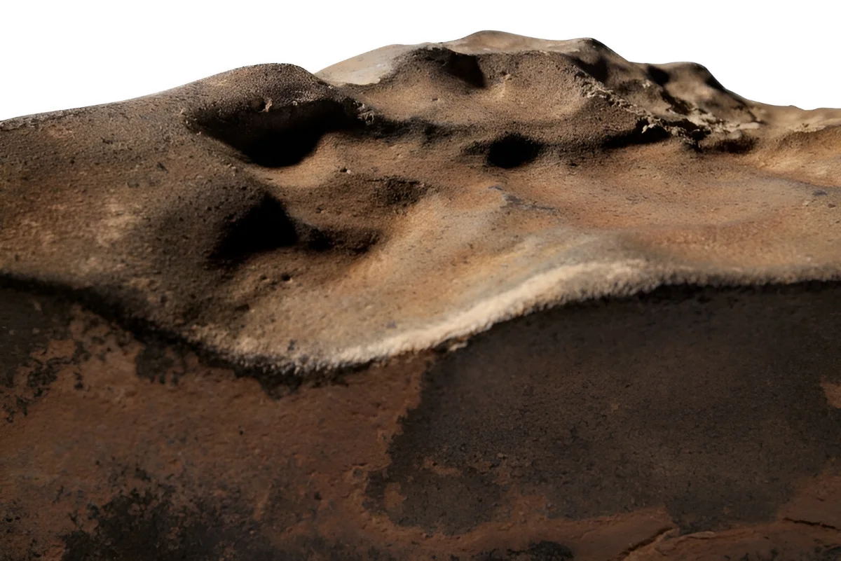 Meteorite venue de Mars NWA 16788 3 La plus grosse météorite venue de Mars a battu tous les records lors d'une vente aux enchères historique