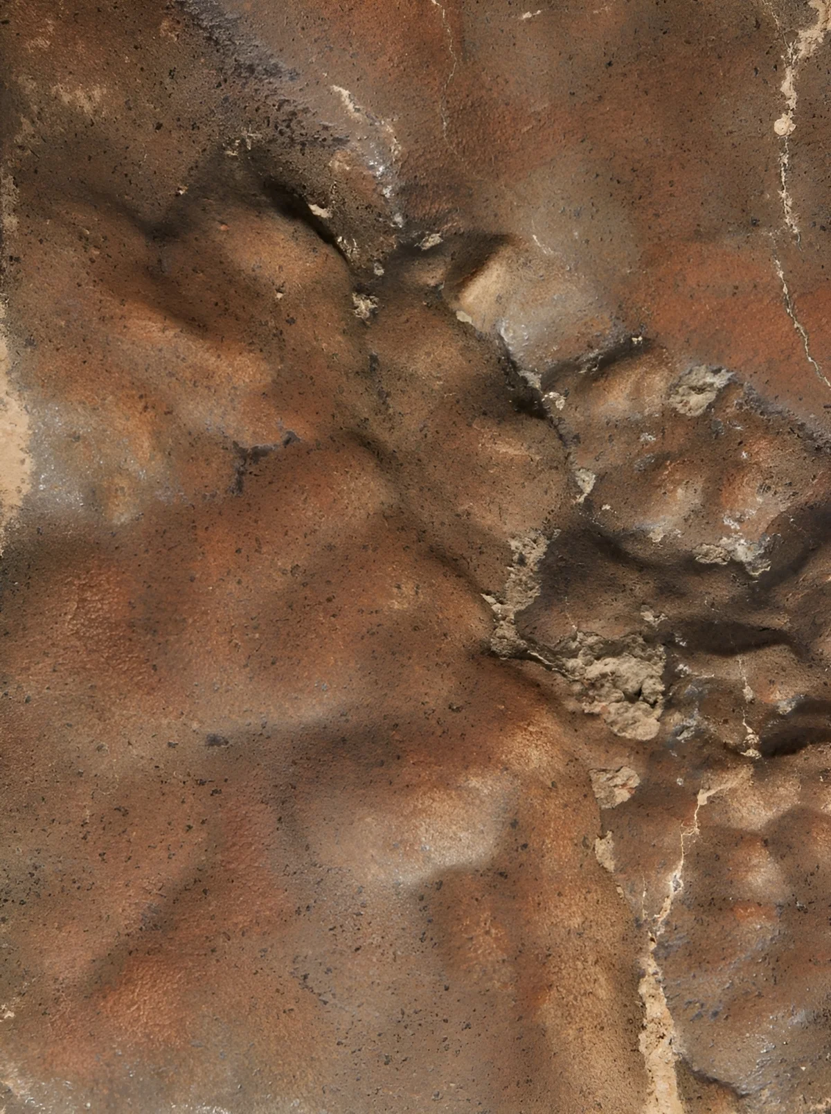 Meteorite venue de Mars NWA 16788 4 La plus grosse météorite venue de Mars a battu tous les records lors d'une vente aux enchères historique