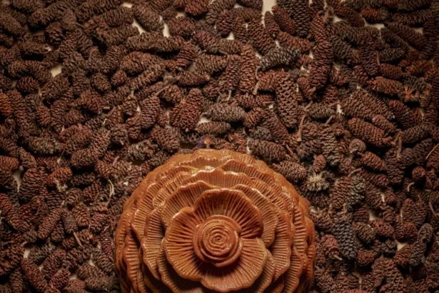 La nouvelle bûche de Noël 2025 du Peninsula Paris, « Joyaux des Pins », est signée Anne Coruble