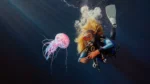 Pharrell x adidas Jellyfish Lesthetique anti torpedo 0 Pharrell et la Virginia Adistar Jellyfish : l’esthétique anti-torpedo qui redéfinit la sneaker masculine