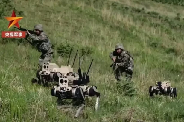 La Chine dévoile ses robots loups équipés d'IA : une nouvelle ère pour la guerre amphibie