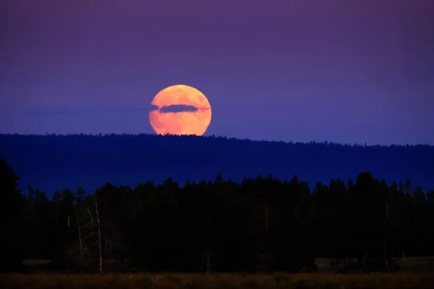 Novembre 2025 : 10 phénomènes célestes spectaculaires à observer à l’œil nu